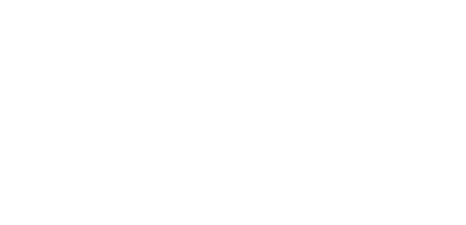 Nordic Bling logo with text white